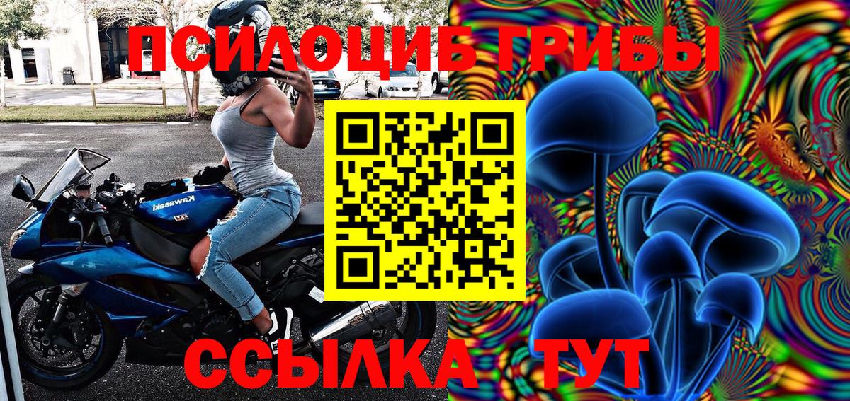 Галлюциногенные грибы ЛСД Кандалакша