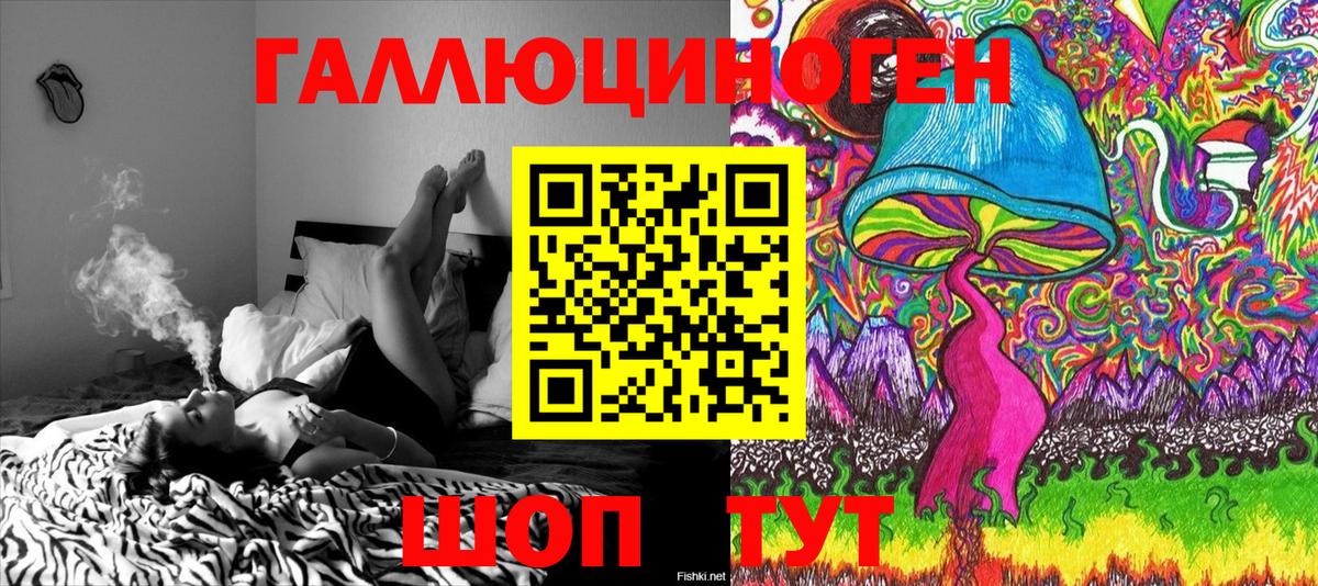 Псилоцибиновые грибы мухоморы  Вход с VPN  Кандалакша 